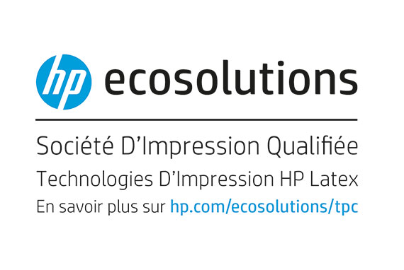Logo Ecosolutions pour l'Agence Easy